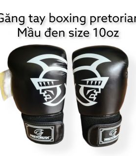 GĂNG BOXING PRETORIAN